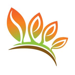 The Seed Podcast: Transforming the World