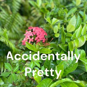 Accidentally Pretty