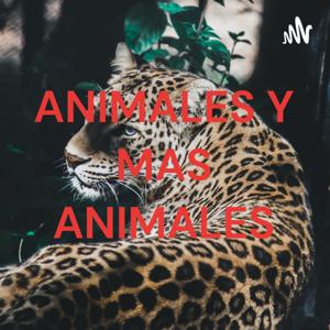 ANIMALES Y MAS ANIMALES