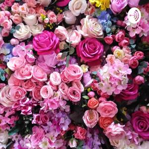 O trem- Roseana Murray