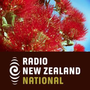 Kiwi Summer
