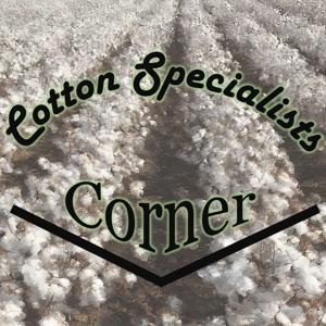 Cotton Specialists Corner by Extension Cotton Specialists