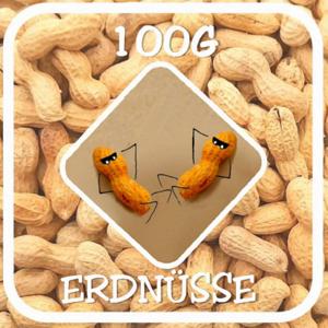 100g Erdnüsse