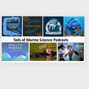 Tails of Marine Conservation