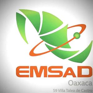 Cecyte EMSaD 59