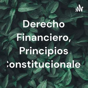 Derecho Financiero, Principios Constitucionales