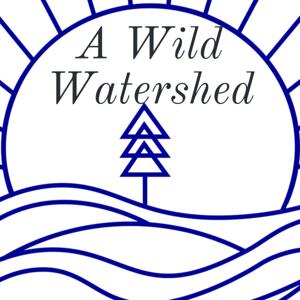 A Wild Watershed - a Podcast for the Boulder Creek Watershed