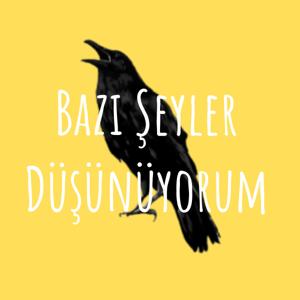 Bazı Şeyler Düşünüyorum