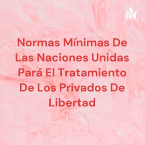 Normas Mínimas De Las Naciones Unidas Pará El Tratamiento De Los Privados De Libertad