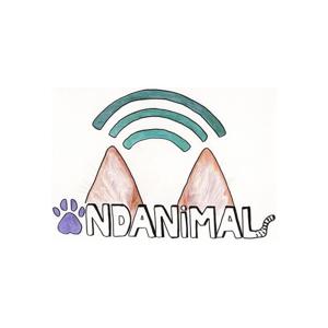 Podcast Ondanimal