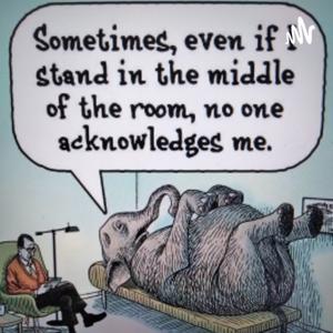 Elephants, The Power Of Understanding, Hope, & Healing