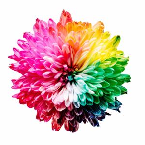Colours that fill my life!