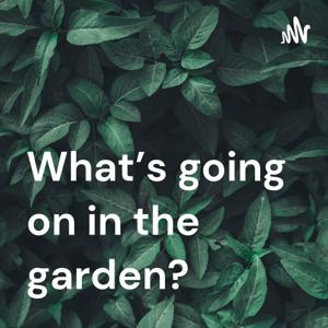 What's going on in the garden?