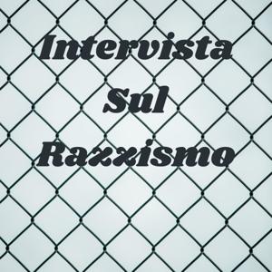 Intervista Sul Razzismo