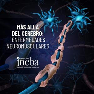 Más allá del cerebro: Enfermedades Neuromusculares