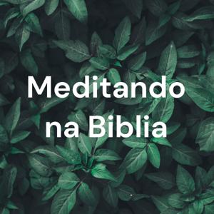 Meditando na Biblia