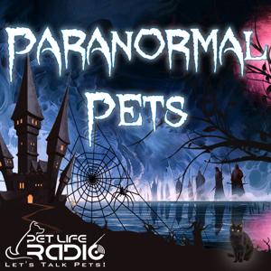 Paranormal Pets - Ghostly Encounters with Past Pets - Pets & Animals on Pet Life Radio (PetLifeRadio.com)