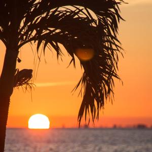 Chabad of Miami Beach - Rise with the sun