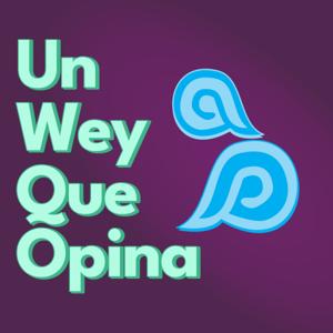 Un Wey Que Opina