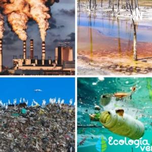 ¿ Cómo Reducir La Contaminación En Nuestro Entorno?