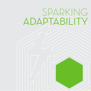 Sparking Adaptability