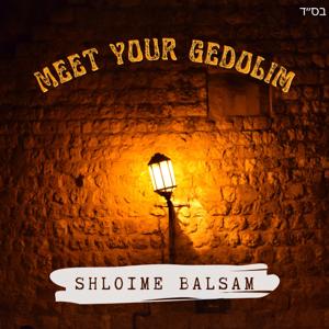 Meet Your Gedolim by Shloime Balsam