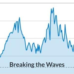 Breaking the Waves: Conversations About the Dutch Pandemic