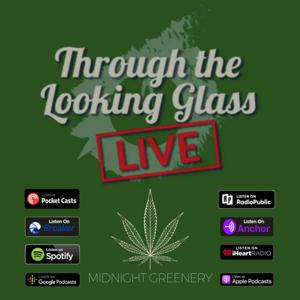 Through the Looking Glass with Tokin Tina