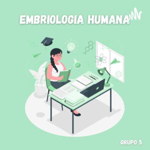 Embriologia humana