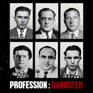 Histoire des Gangsters by Profession Gangster