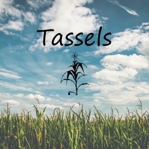 Tassels