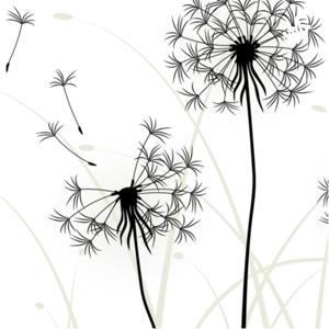 Libri, bellezza e altro...