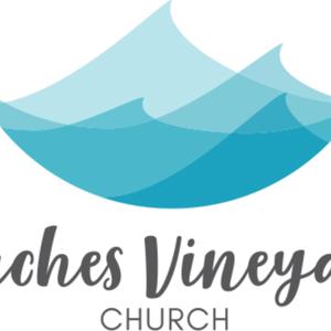 BEACHES VINEYARD CHURCH