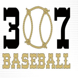 307 Baseball