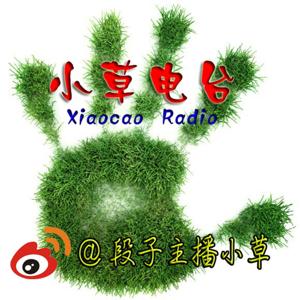 小草讲段子