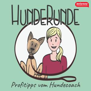 HundeRunde - Profitipps vom Hundecoach by Antenne Niedersachsen präsentiert: Hunde Tipps vom Hunde Coach. Talk über Welpen und Hunde Haltung