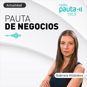 Pauta de Negocios