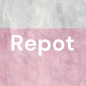 Repot
