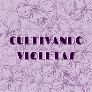 Cultivando violetas