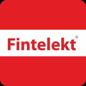 Fridays with Fintelekt