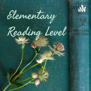 Elementary Reading Level by big kid