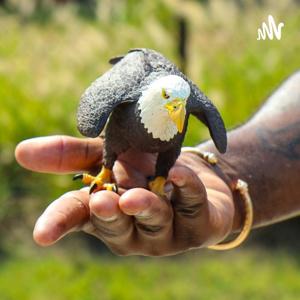 Stars & Stripes Cricket Podcast