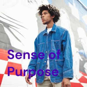 Sense of Purpose