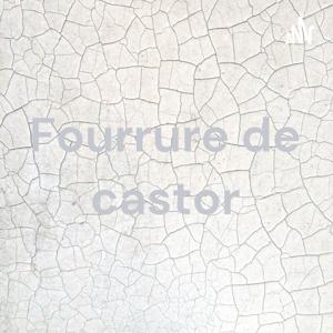 Fourrure de castor