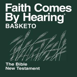 Basketo Bible (Non-Dramatized)
