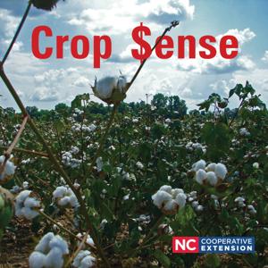 Crop Sense