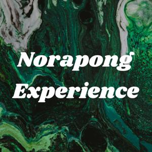 Norapong Experience