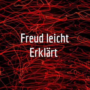 Freud leicht Erklärt by Hannah Rusch