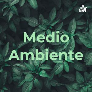 Medio Ambiente