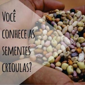 Sementes Crioulas: O Saber Tradicional e sua prática agroecológica no quilombo Lagoa do Peixe